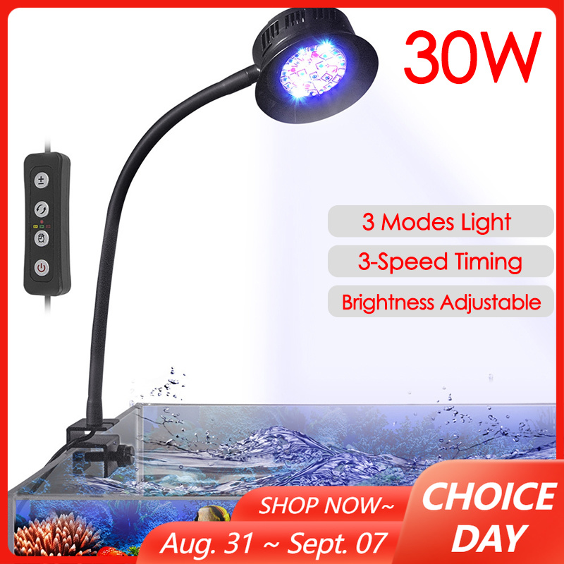 Marine Aquarium Tanks - 30 W Aquarium Aquarium Meer Wasser