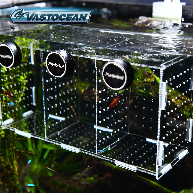 VASTOCEAN Aquarium Magnetische – Marine Aquarium Glue Bewertung und Preis