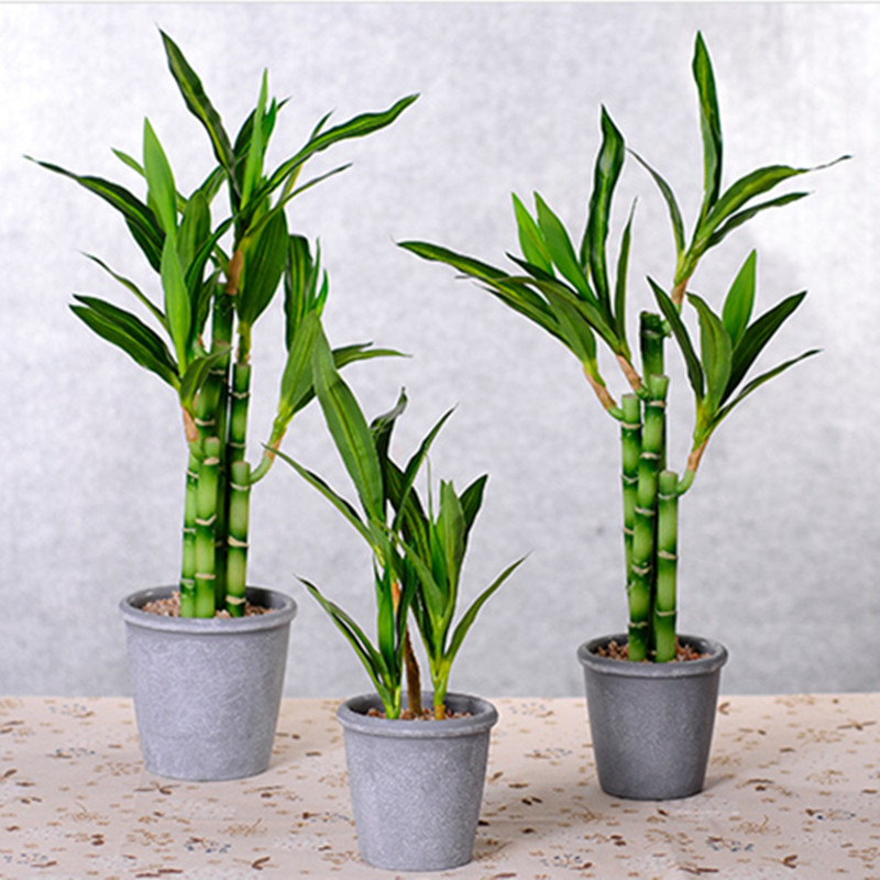 Neue 40cm Künstliche Glücksbam – Aquarium Marine Plants Bewertung und Preis