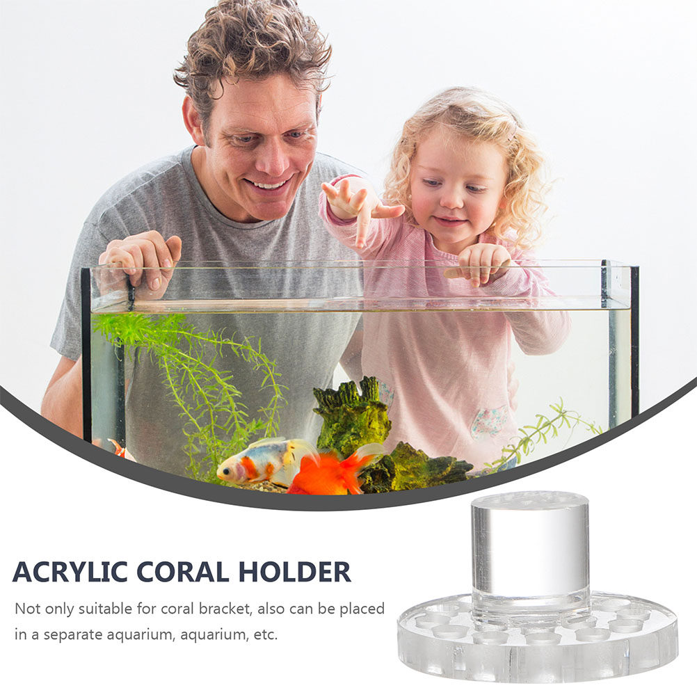 10 Stück Acryl-Korallenhalteru – Marine Aquarium Glue Bewertung und Preis