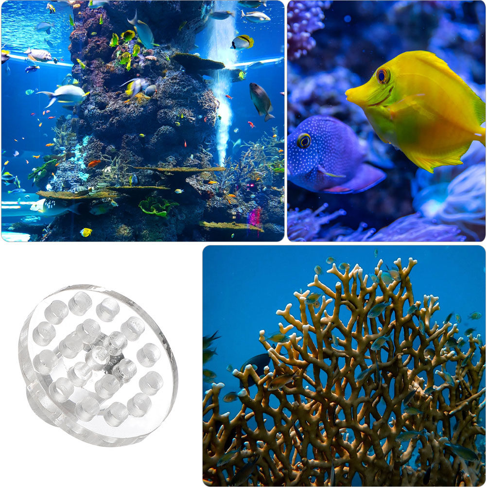 10 Stück Acryl-Korallenhalteru – Marine Aquarium Glue Bewertung und Preis
