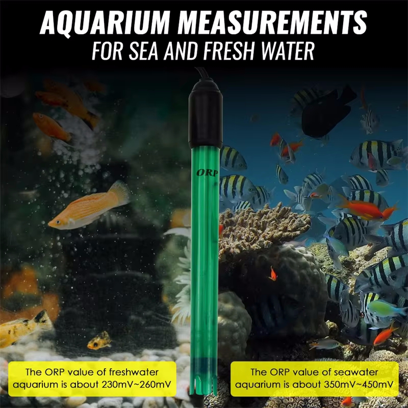 Professionelle ORP-Elektrodens – Marine Aquarium Par Meter Bewertung und Preis