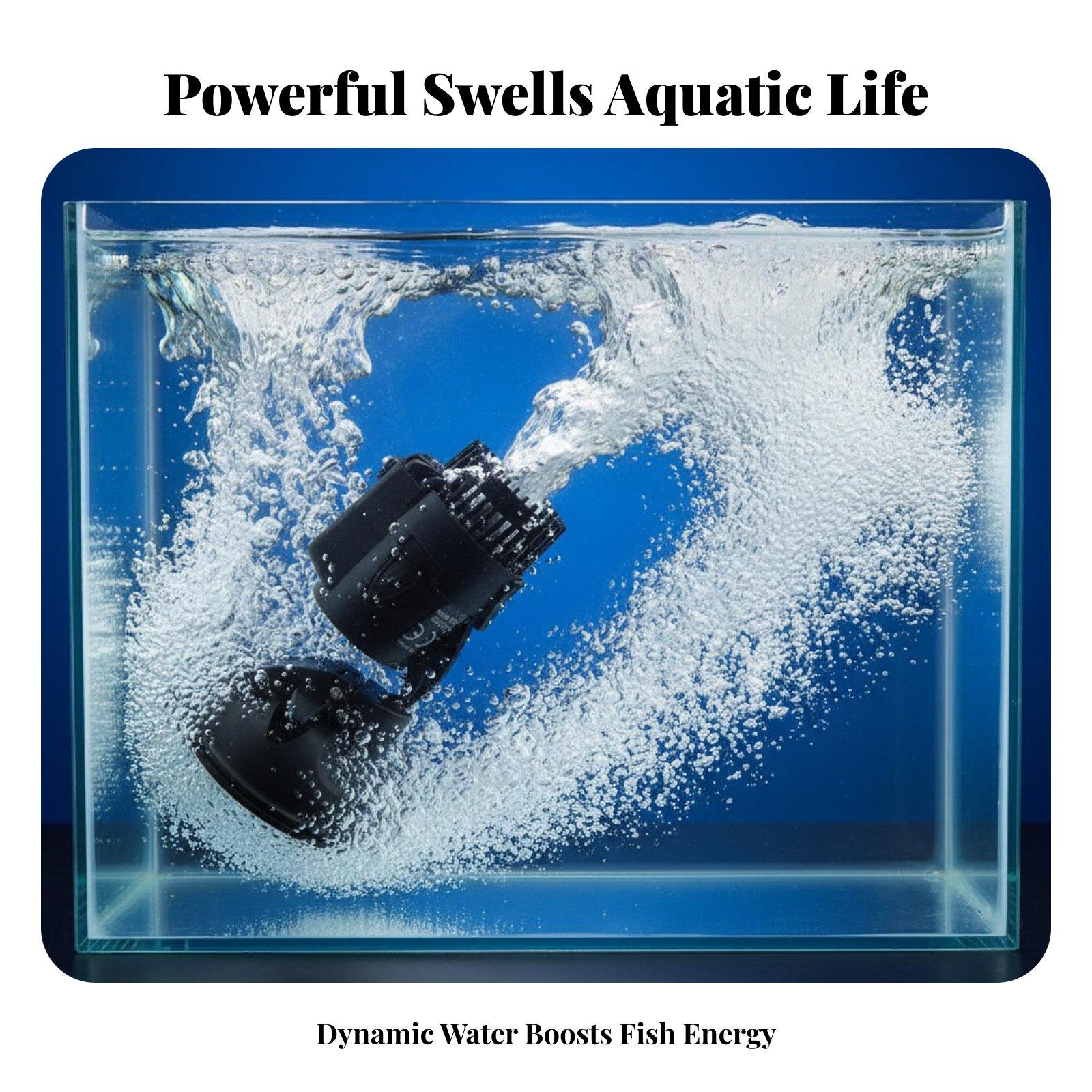 Geräuscharme Aquarium-Wasserpu – Marine Aquarium Tanks Bewertung und Preis