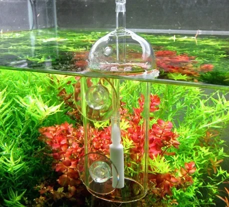 VIV Do Device Aquarium-Zylinde – Aquarium Marine Plants Bewertung und Preis