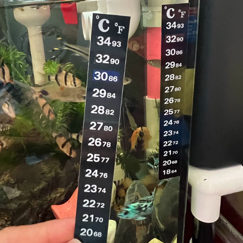 1/5 Stück Hochpräzises Thermom – Marine Aquarium Glue Bewertung und Preis