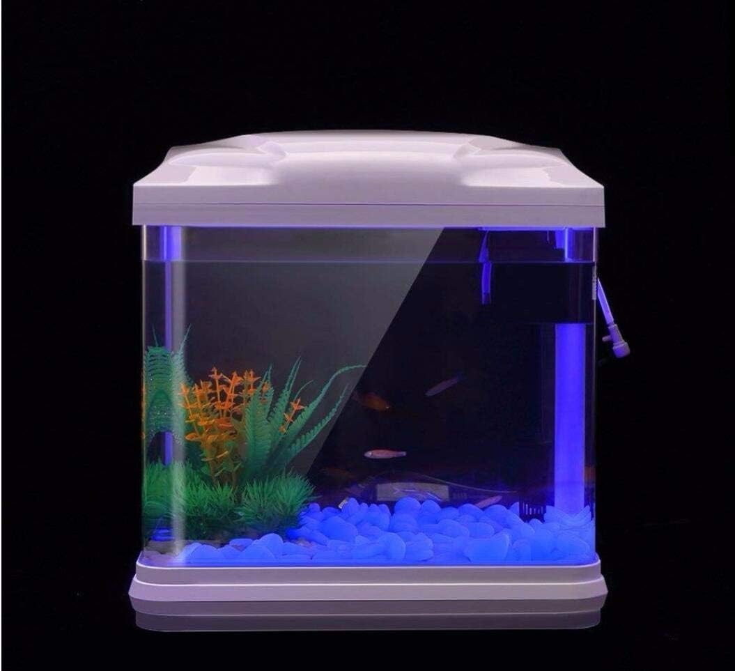 Aquarium-Felsen leuchten blaue – Aquarium Marine Plants Bewertung und Preis