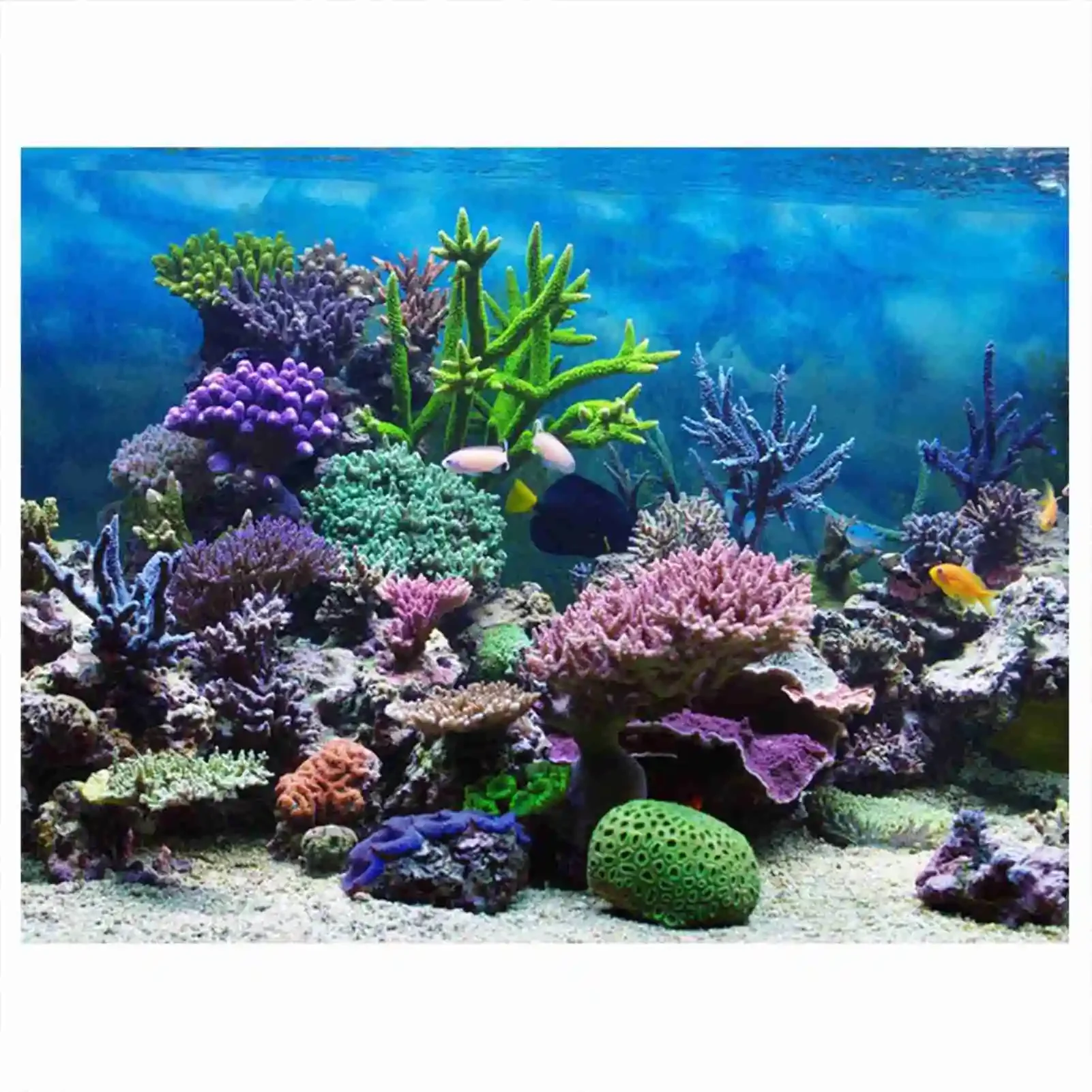3d Aquarium Landschaft Poster  – Marine Aquarium Glue Bewertung und Preis