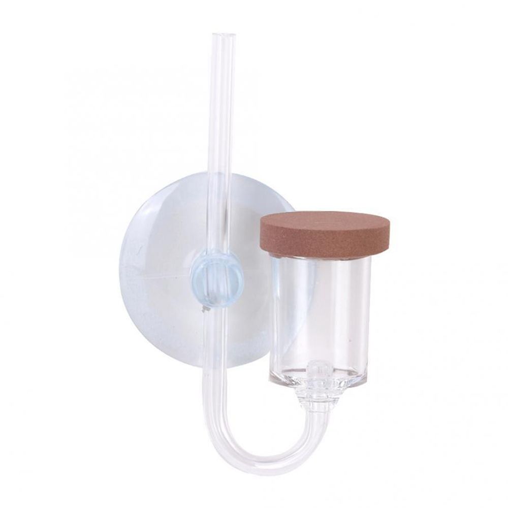 Acryl Mini Aquarium Live Pflan – Aquarium Marine Plants Bewertung und Preis
