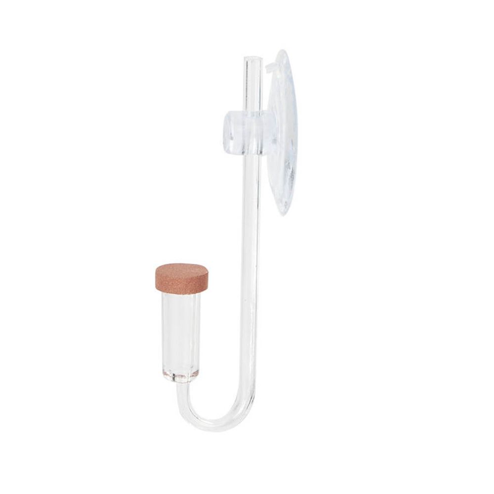 Acryl Mini Aquarium Live Pflan – Aquarium Marine Plants Bewertung und Preis
