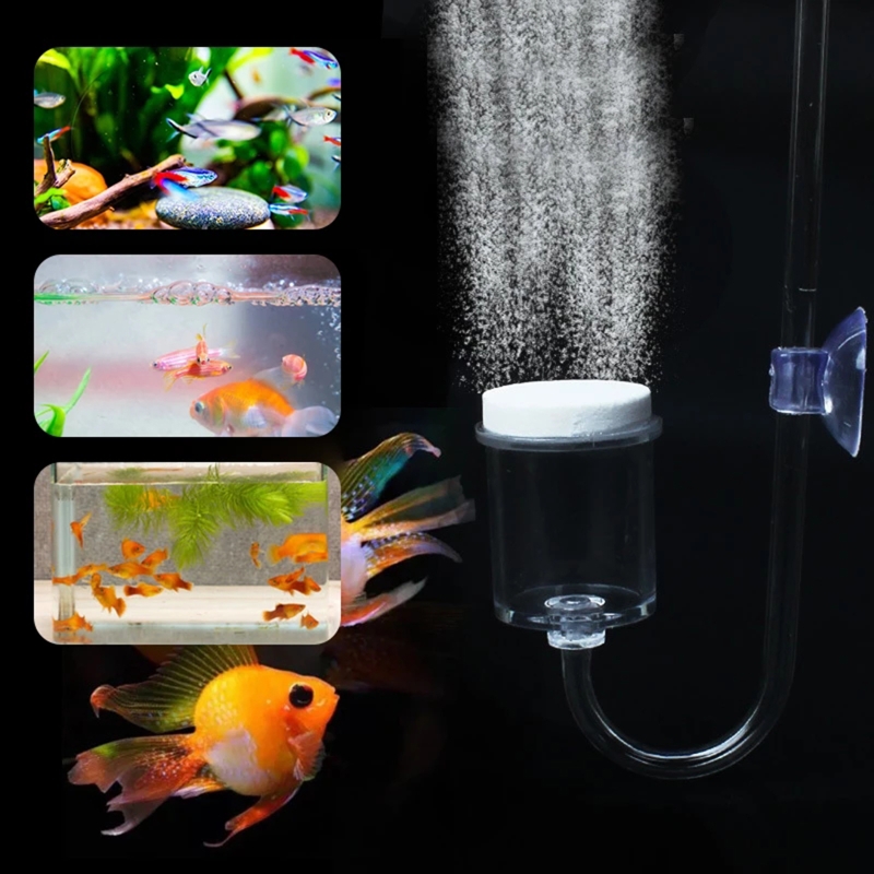 4 stücke Set DIY CO2-Diffusor  – Aquarium Marine Plants Bewertung und Preis