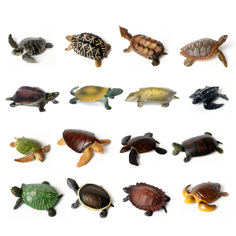 Realistische Miniaturen Meeres – Marine Aquarium Tanks Bewertung und Preis